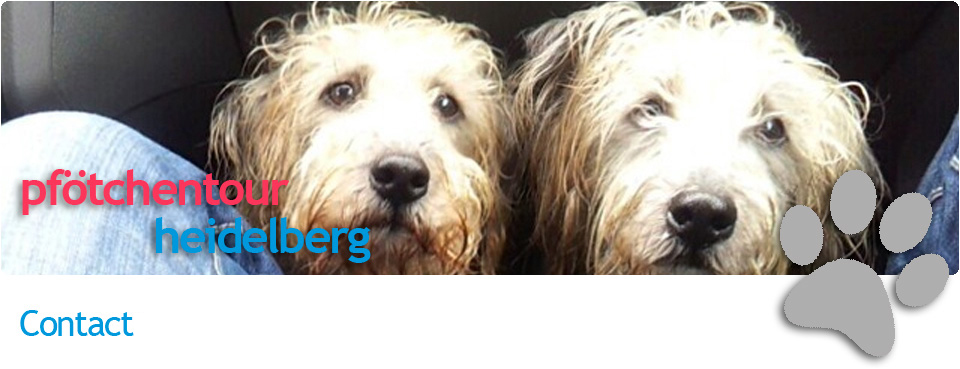 Foto: Heidelberg auf vier Pfoten