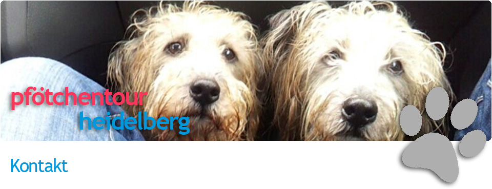 Foto: Heidelberg auf vier Pfoten