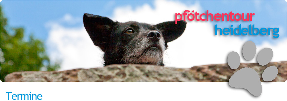 Foto: Heidelberg auf vier Pfoten